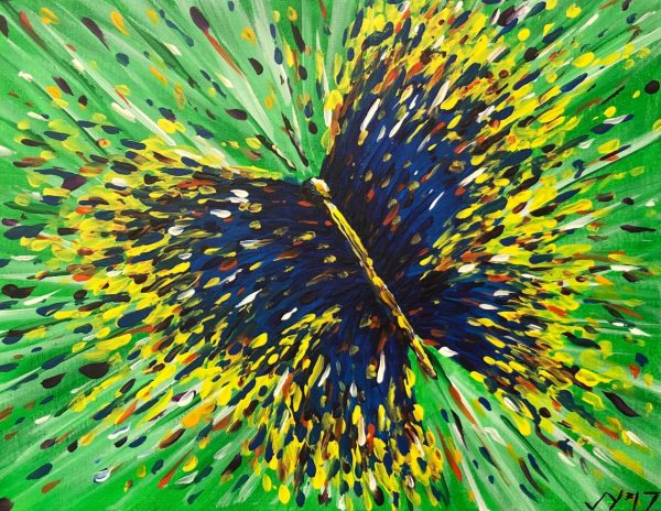 Butterflosion gallery imaginative
