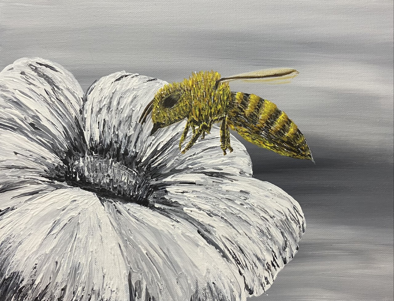 Pollination gallery imaginative